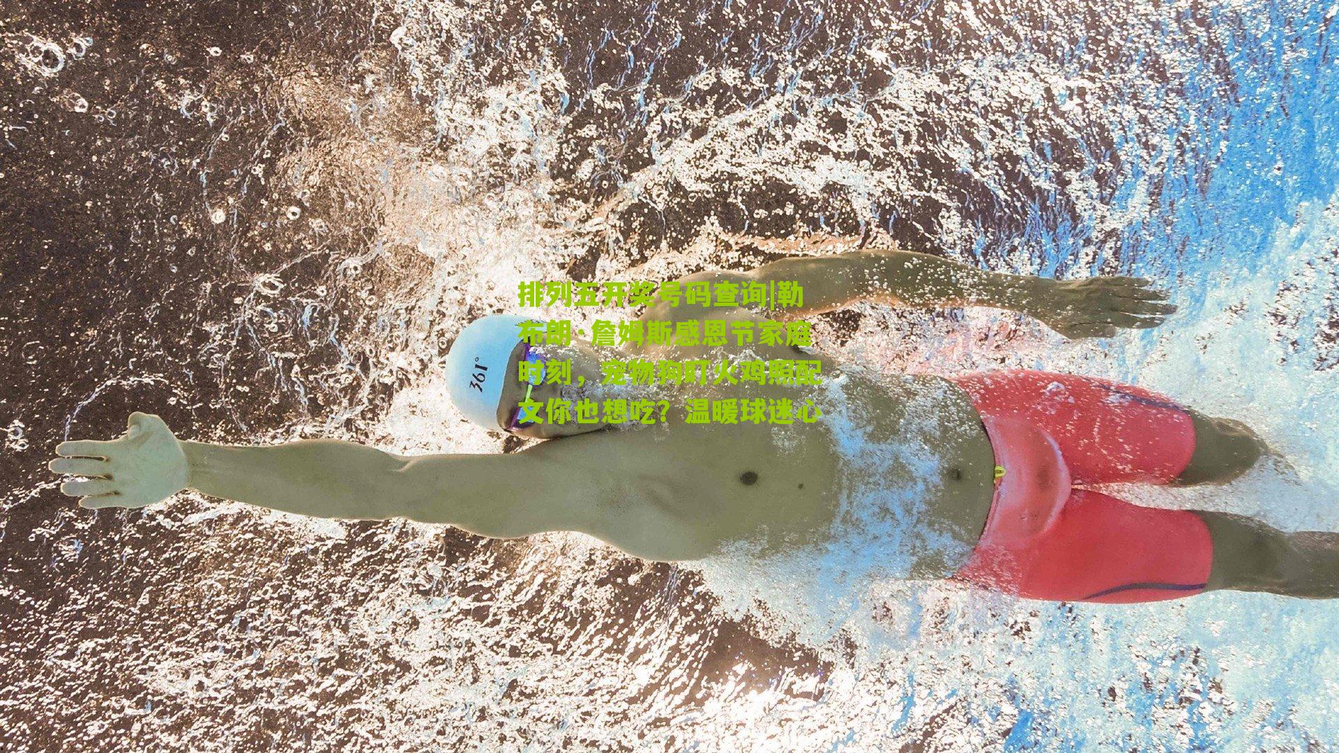 排列五开奖号码查询|勒布朗·詹姆斯感恩节家庭时刻，宠物狗盯火鸡照配文你也想吃？温暖球迷心